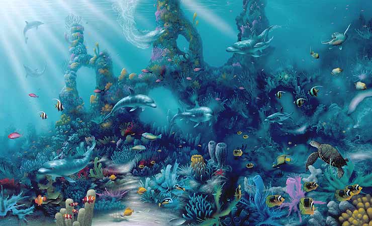 dolphin-paradise1.jpg