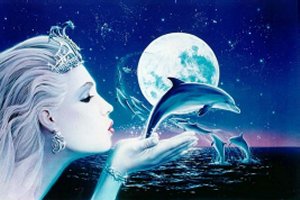 dolphinwish1.jpg